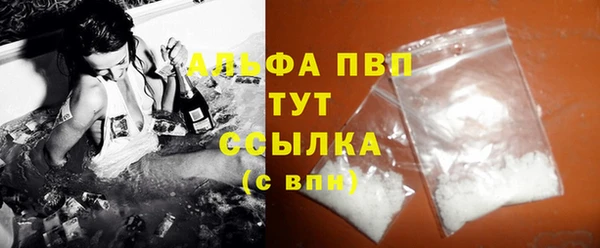 стаф Алагир