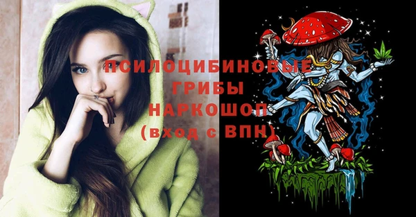 стаф Алагир